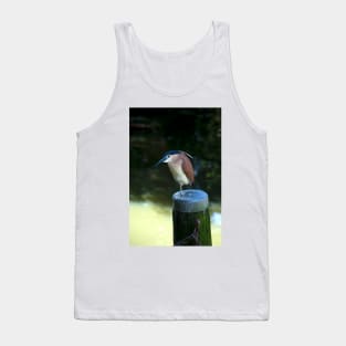 Rufous Night Heron Tank Top